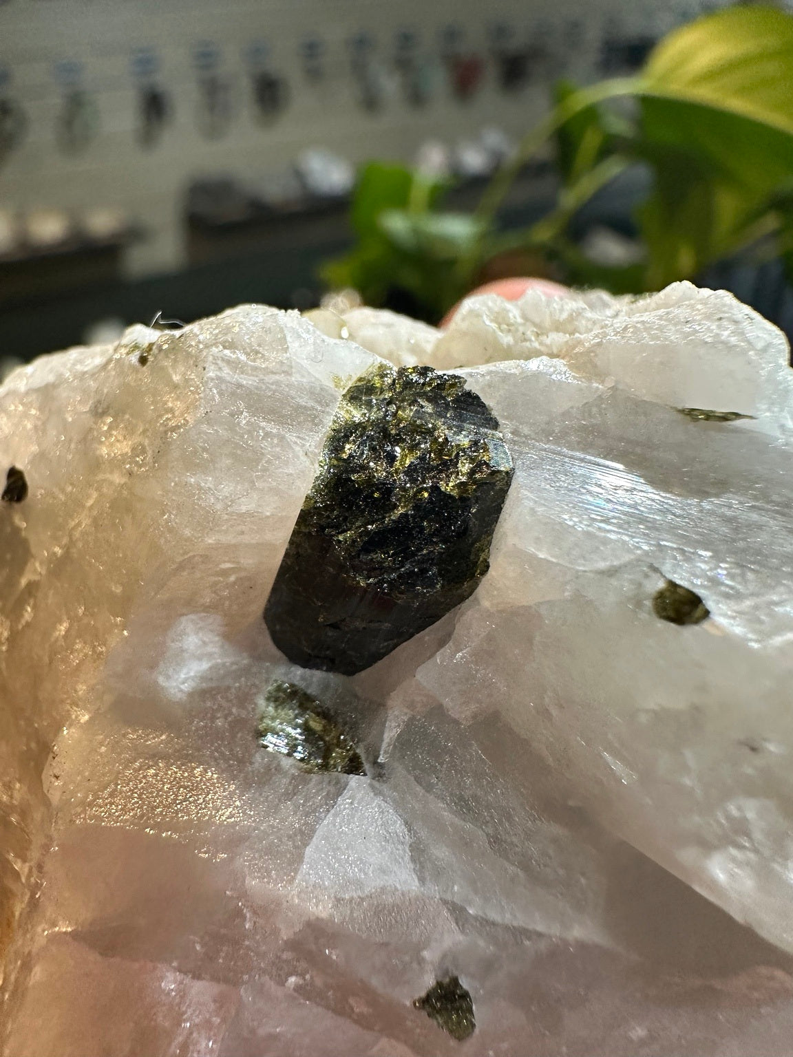 Epidote crystals in quartz matrix, locality unknown — 13.1 oz, view 4