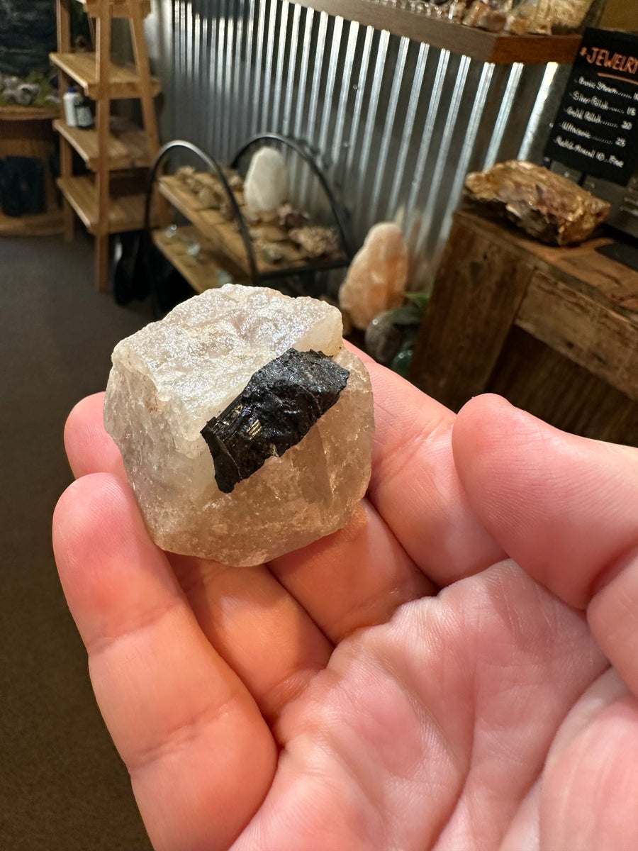Mexico black tourmaline schorl in quartz matrix, 2.1 oz, view 1