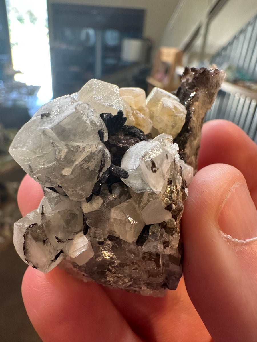 Mexican fluorite crystal cluster with dark associated prismatic crystals, view 1