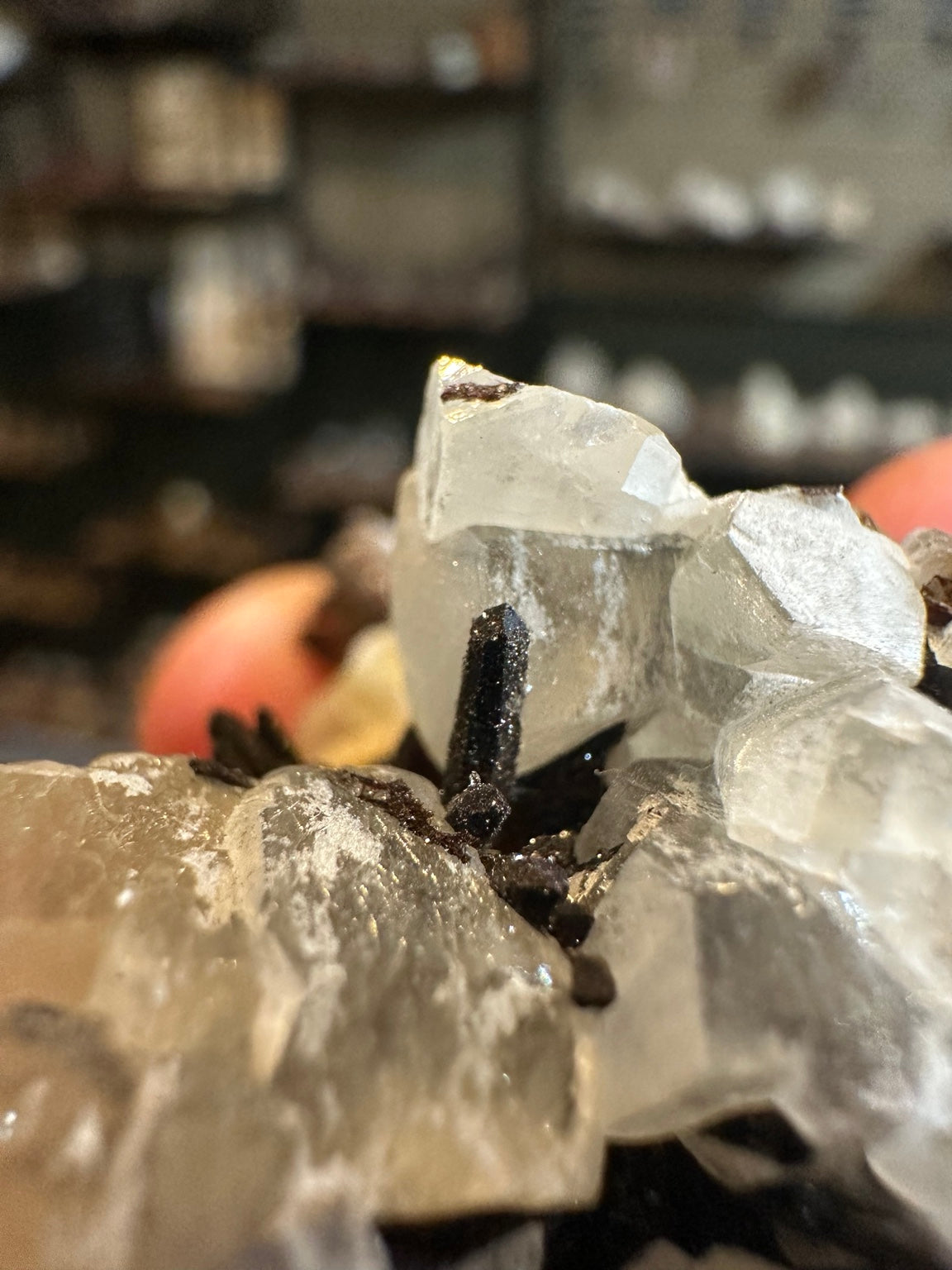 Mexican fluorite crystal cluster with dark associated prismatic crystals, view 6