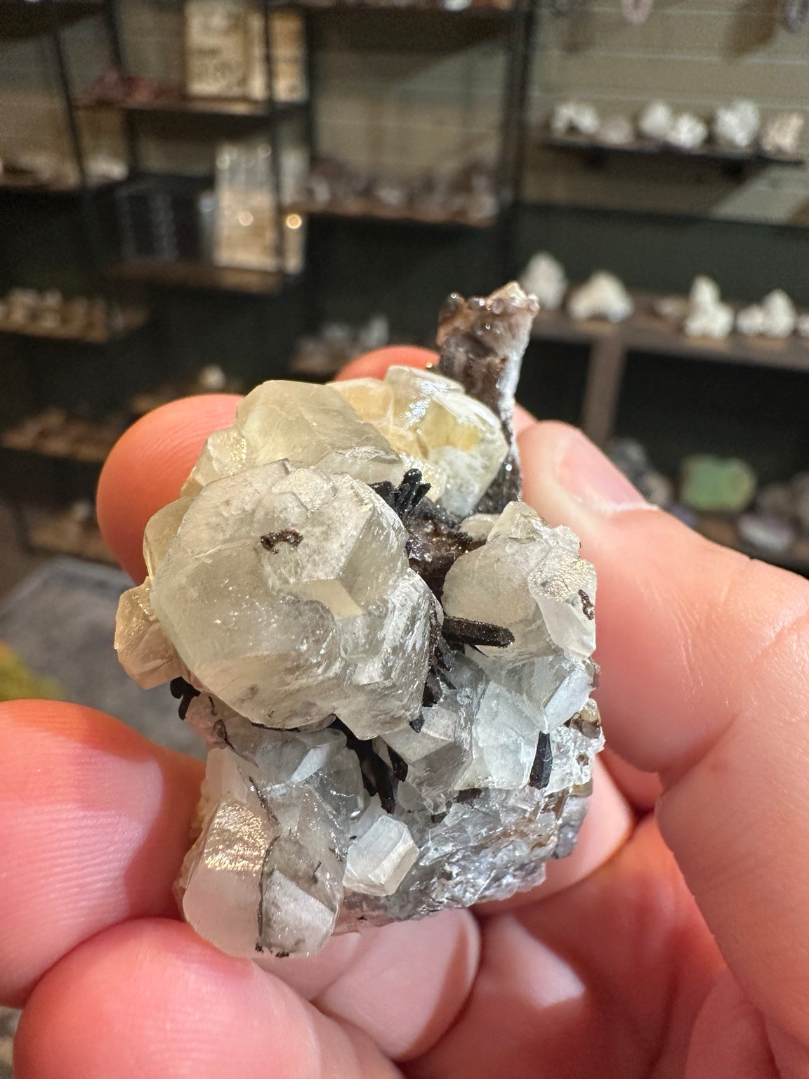 Mexican fluorite crystal cluster with dark associated prismatic crystals, view 8