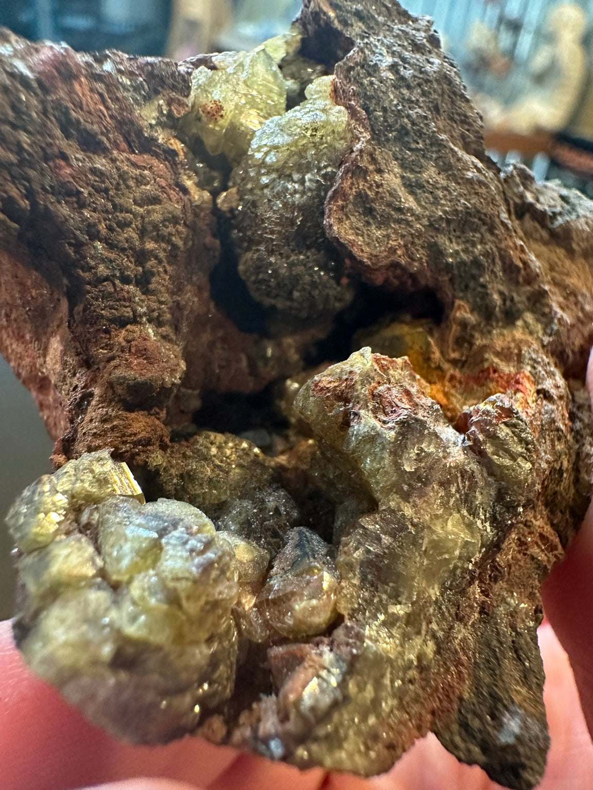 Olive-yellow vesuvianite candidate in rust colored matrix, Mexico Lake Jaco attributed, photo 2