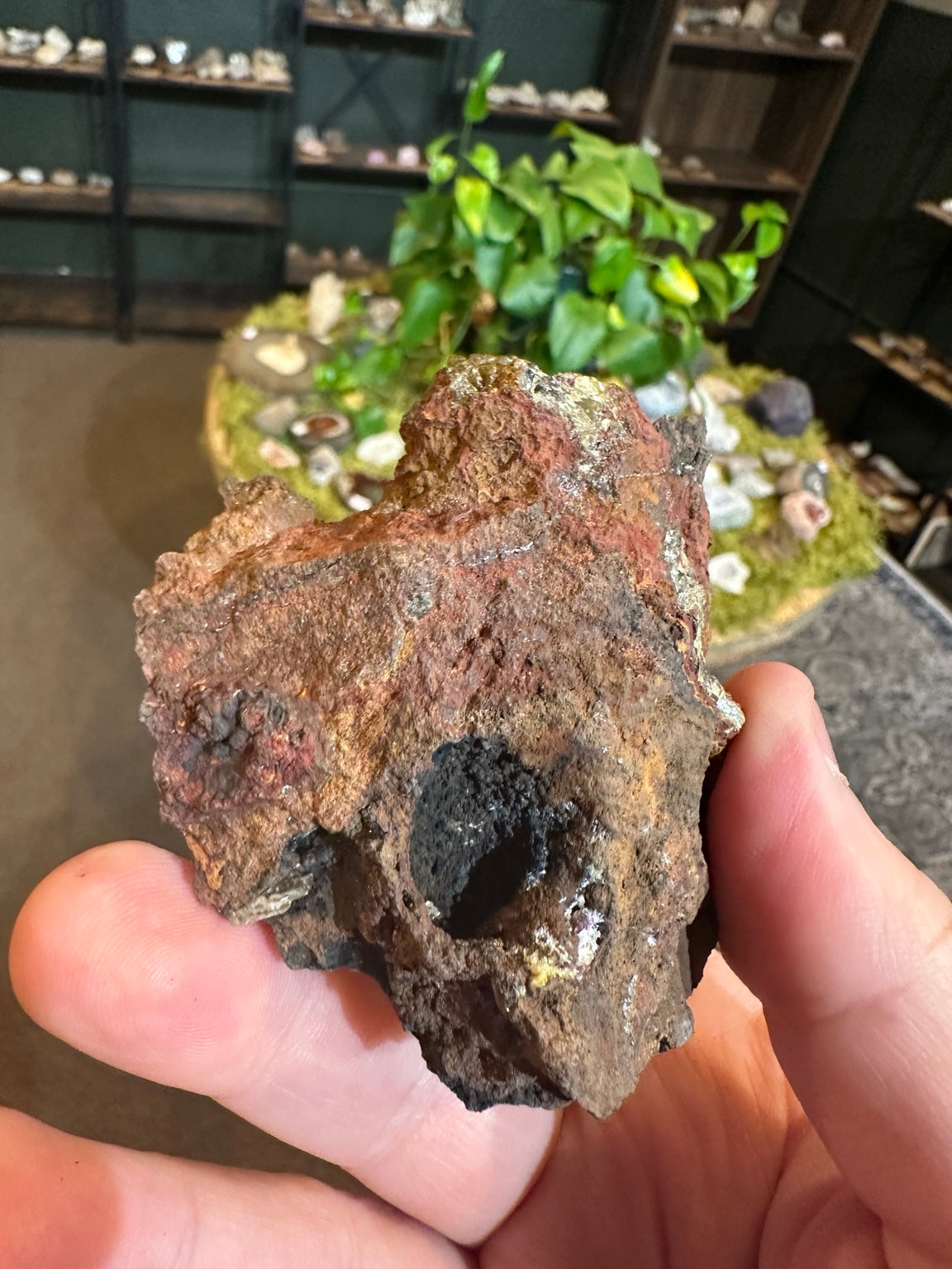 Olive-yellow vesuvianite candidate in rust colored matrix, Mexico Lake Jaco attributed, photo 6