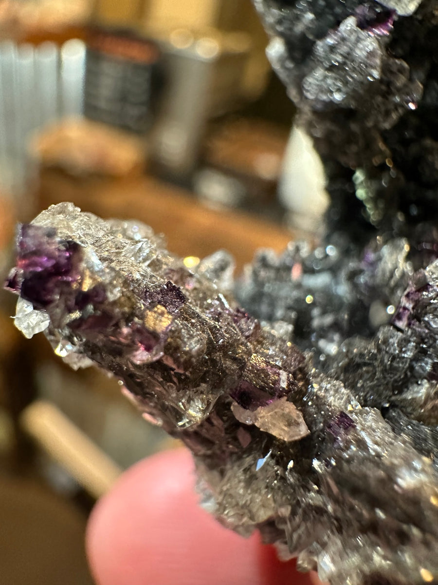 Mexico purple fluorite cubes on crystal matrix, 2.5 oz, view 1
