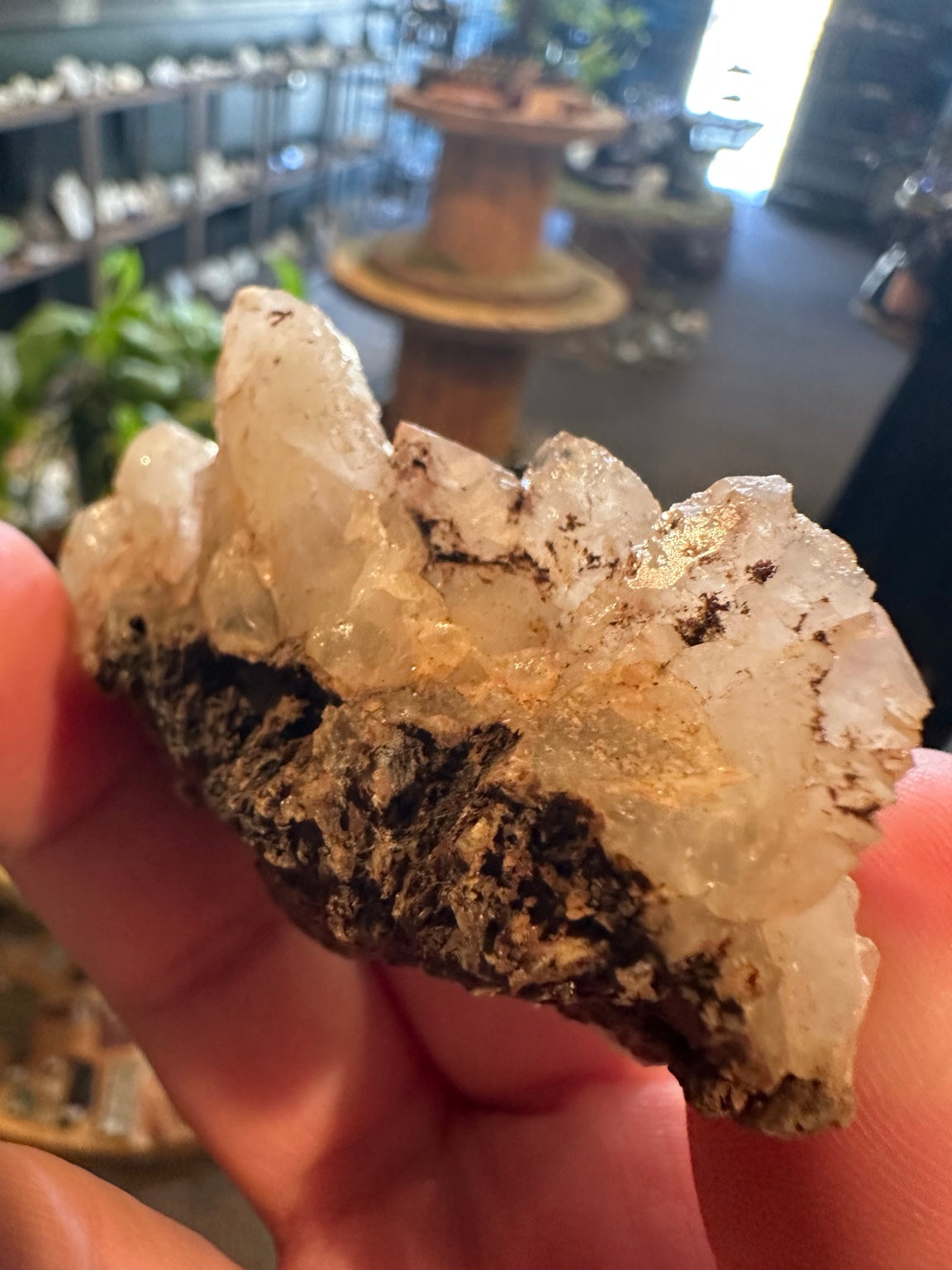 Close view of natural quartz points and dark metallic-looking mineral in matrix