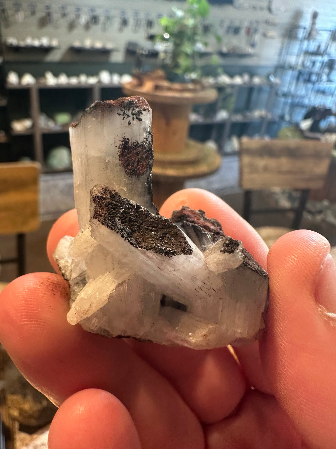 Nevada bladed barite crystal cluster on iron-rich matrix — view 2