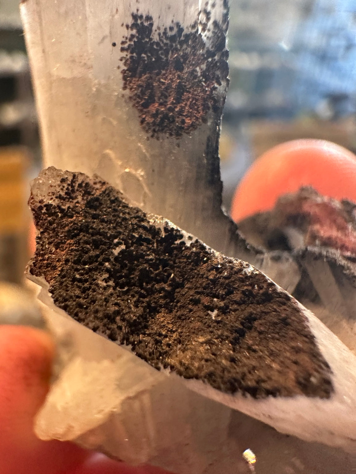 Nevada bladed barite crystal cluster on iron-rich matrix — view 3