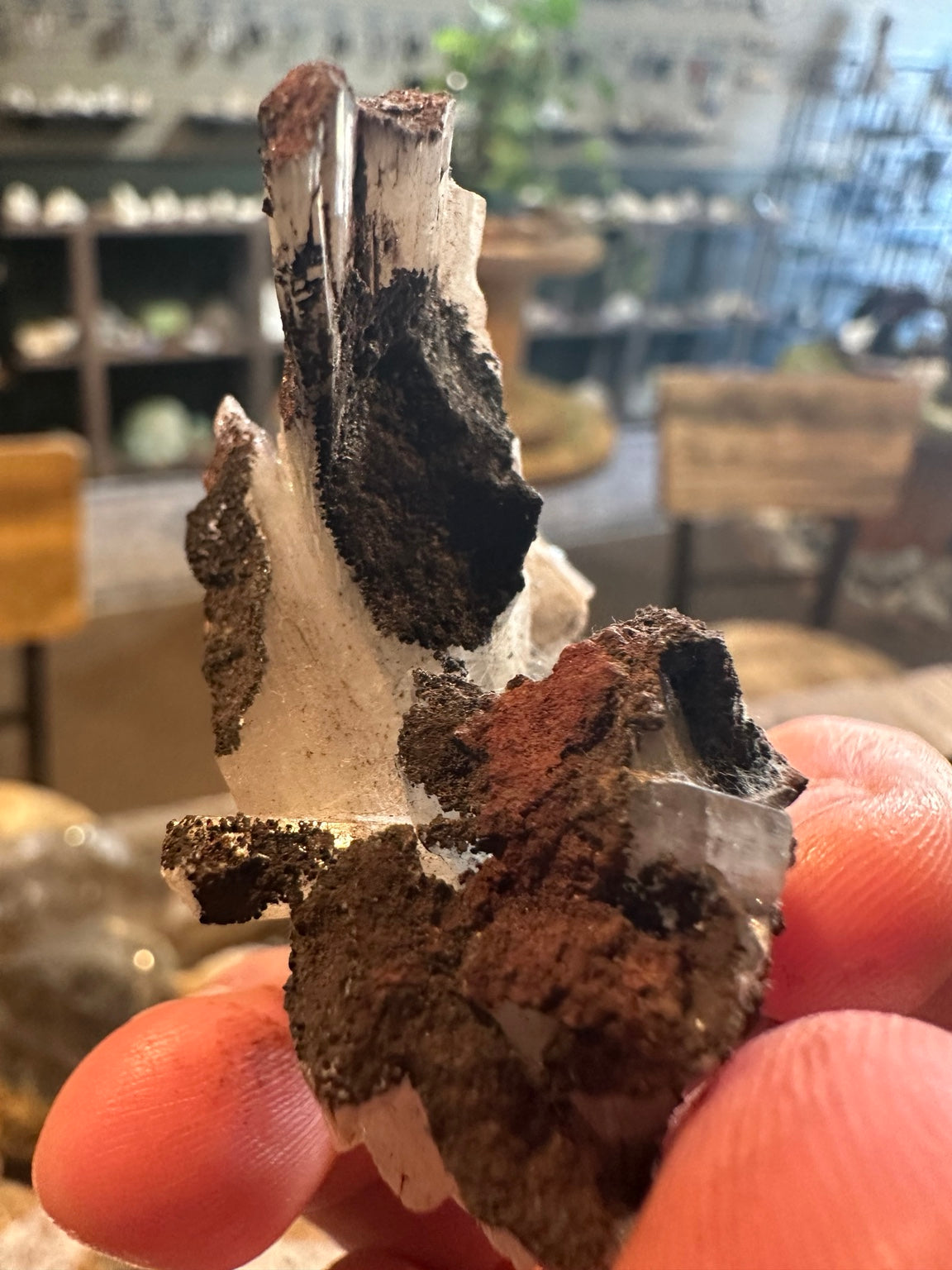 Nevada bladed barite crystal cluster on iron-rich matrix — view 4