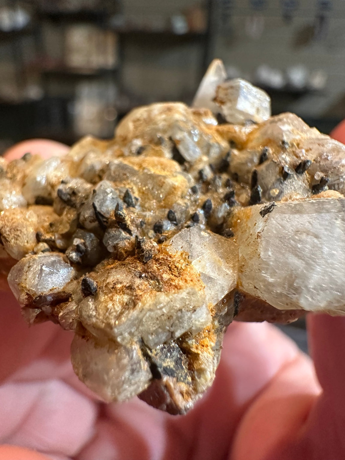 Nevada 2.5 oz translucent mineral crystal cluster, specimen photo 7