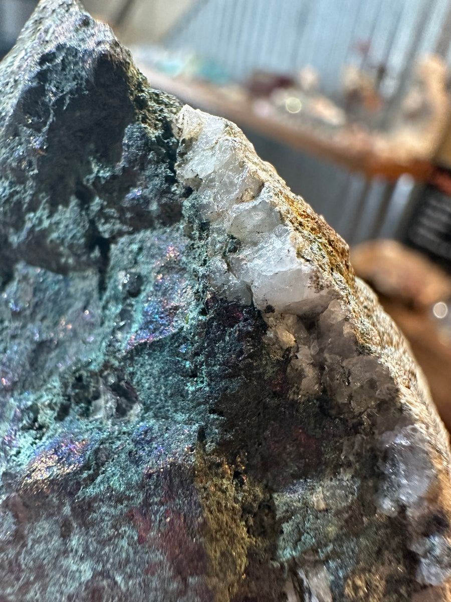 Nevada 7.1 oz peacock ore iridescent copper-sulfide mineral with white quartz matrix, view 1