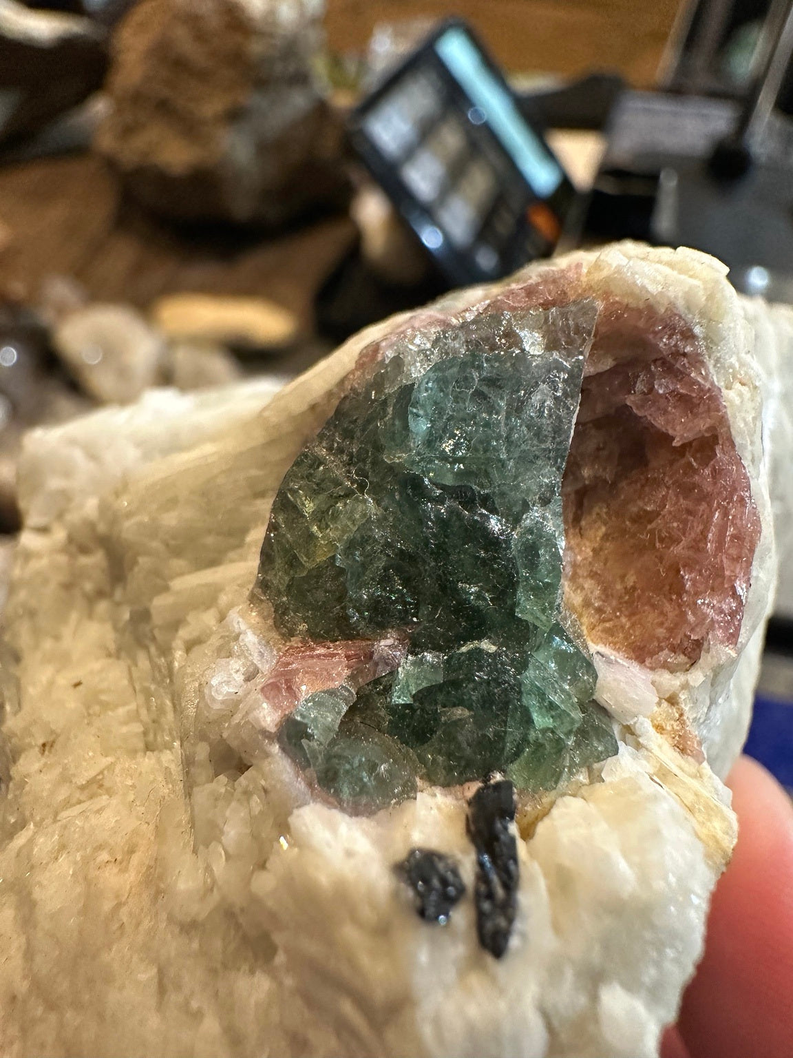 Watermelon elbaite tourmaline in pegmatite matrix, Pala Mining District, California — view 2