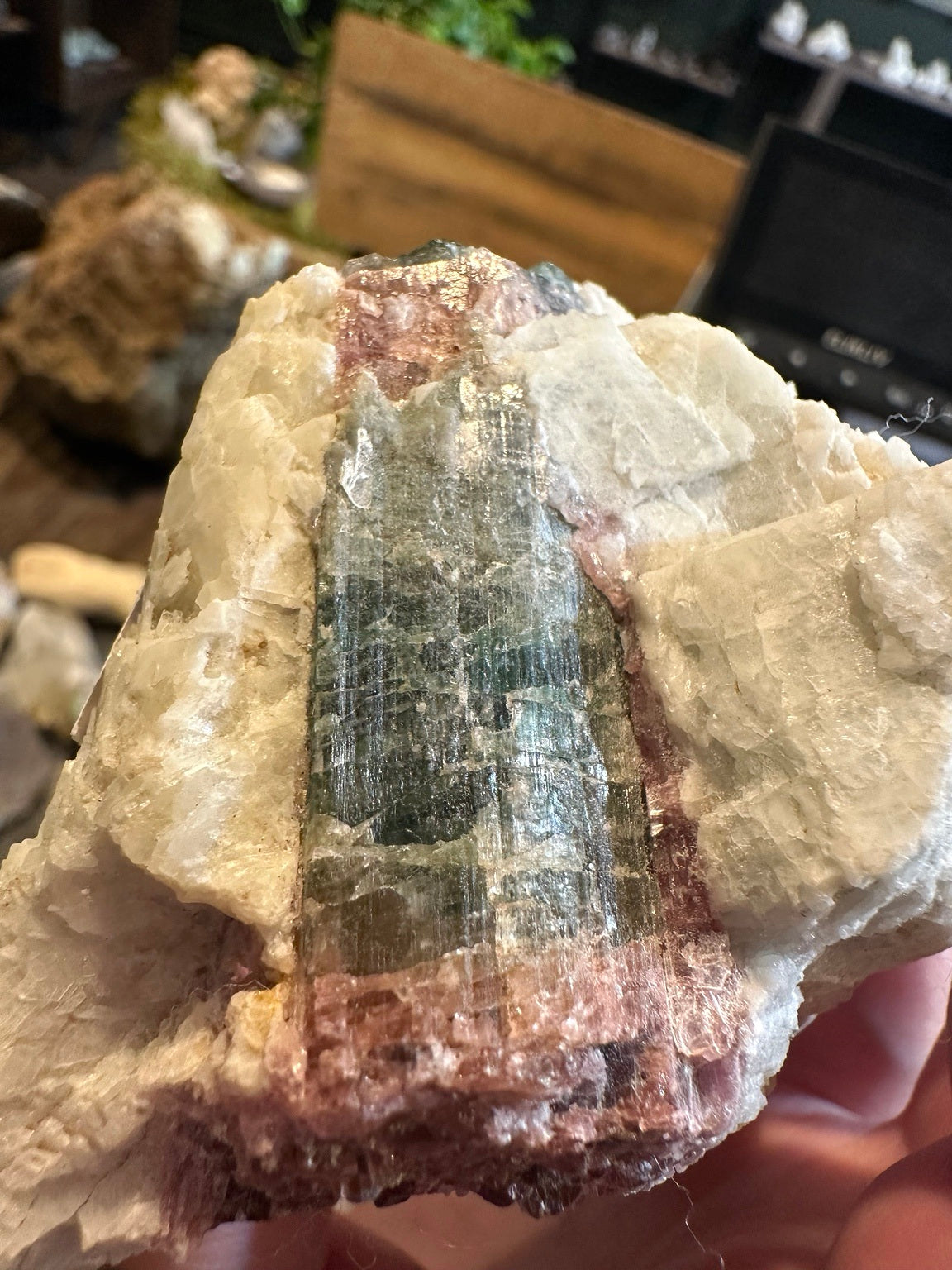 Watermelon elbaite tourmaline in pegmatite matrix, Pala Mining District, California — view 3