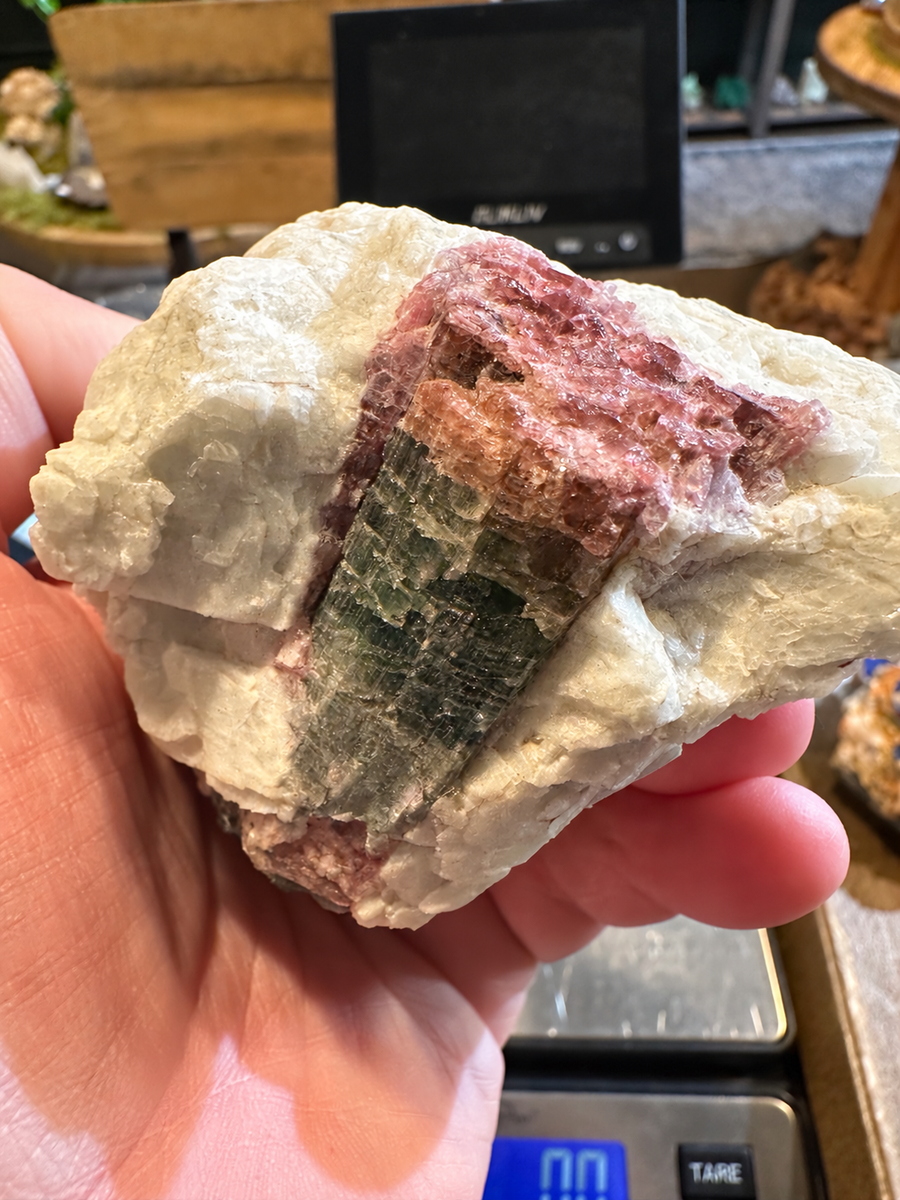 Watermelon elbaite tourmaline in pegmatite matrix, Pala Mining District, California — hair-free front view