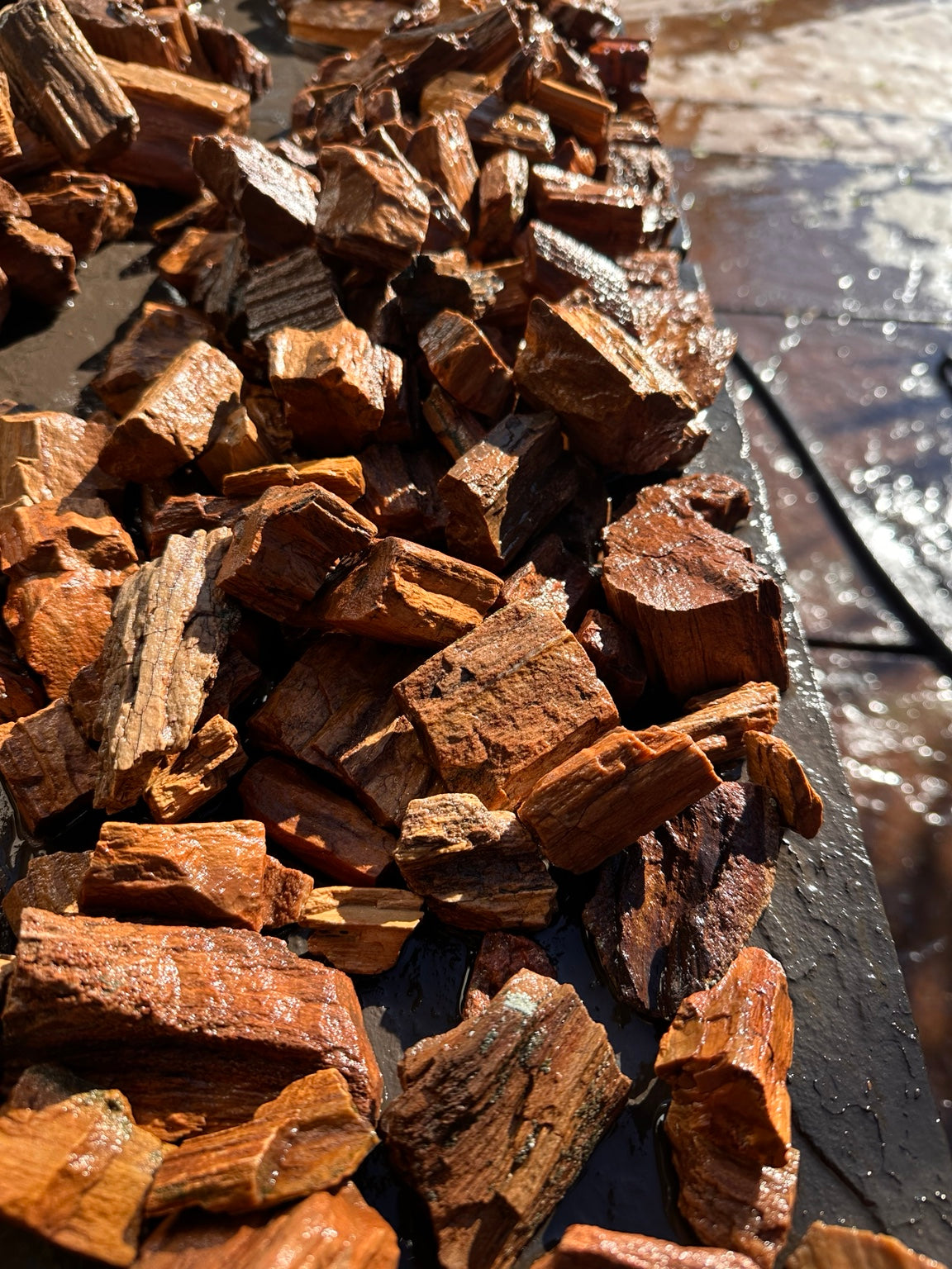 Petrified wood assortment showing natural grain, texture and warm earthy colors