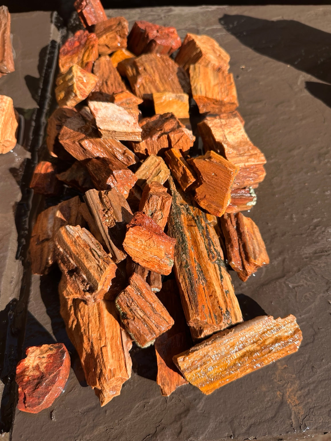Petrified wood assortment showing natural grain, texture and warm earthy colors