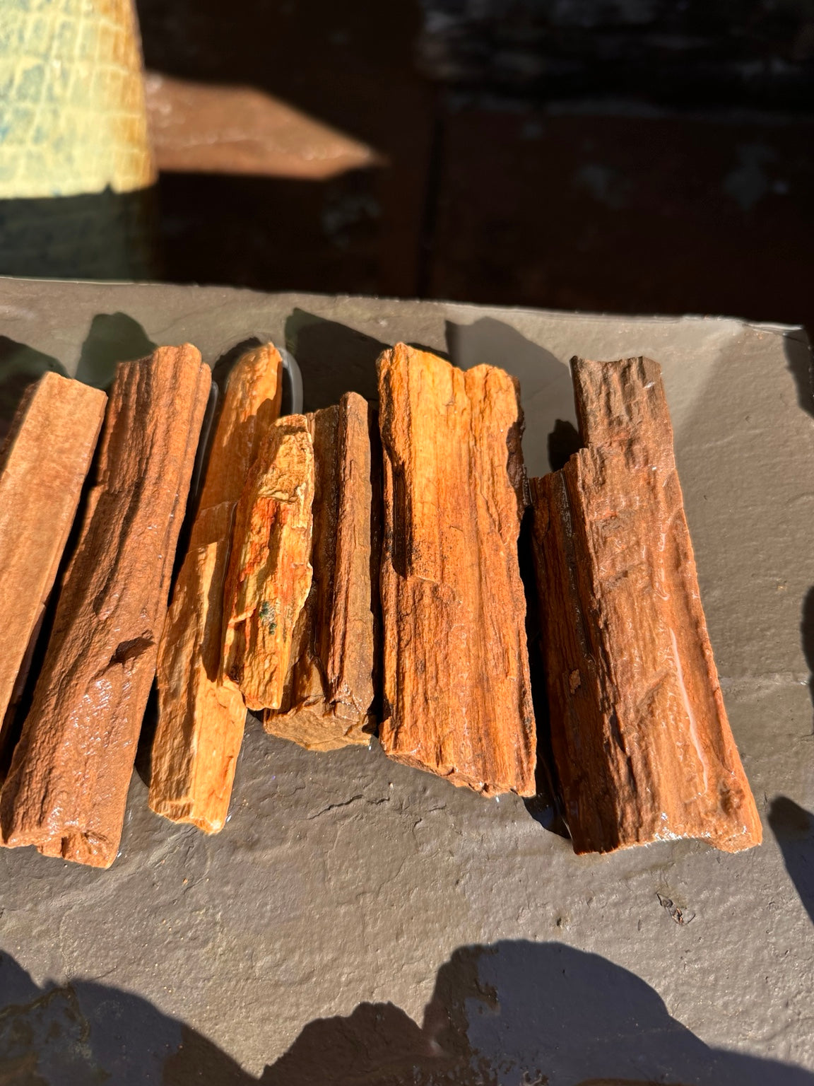 Petrified wood assortment showing natural grain, texture and warm earthy colors