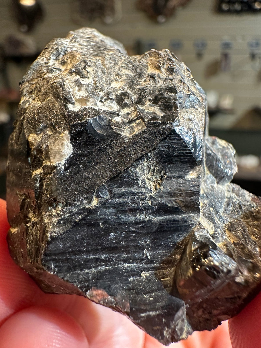 Short schorl black tourmaline crystal cluster from Brazil, front view