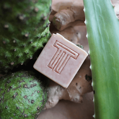 Unscented Soursop Soap