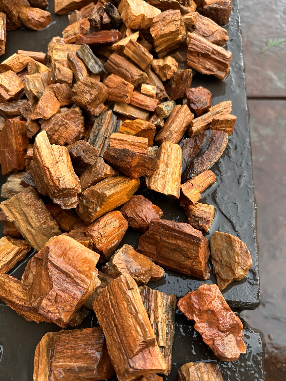 Raw petrified wood assortment sold by the pound