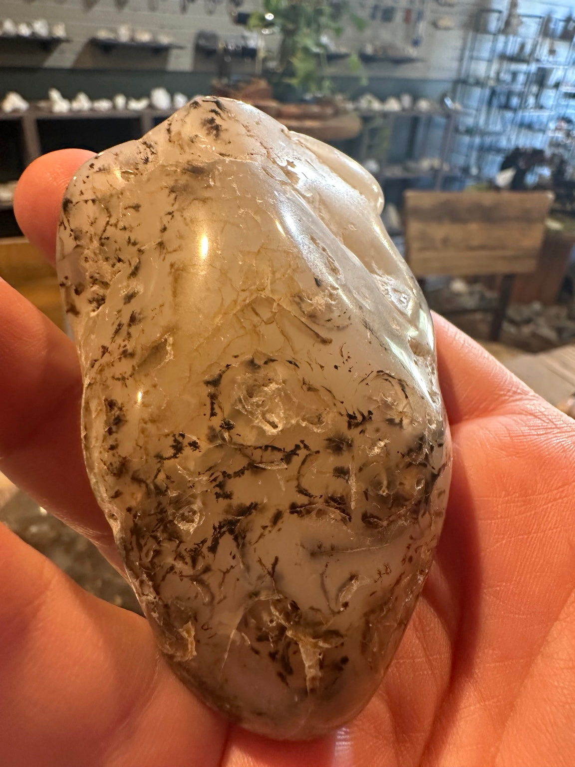 Exact Western U.S. dendritic agate freeform, 6.8 oz — view 1