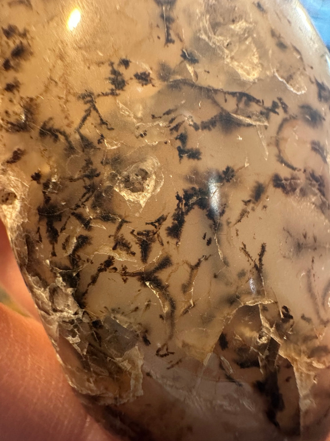 Exact Western U.S. dendritic agate freeform, 6.8 oz — view 2