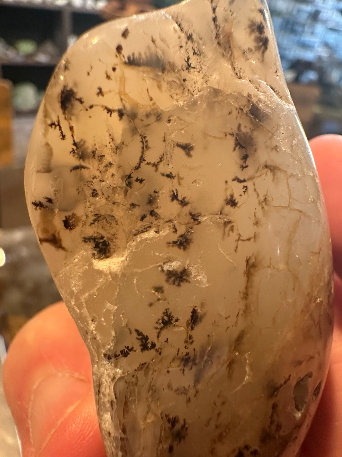 Exact Western U.S. dendritic agate freeform, 6.8 oz — view 3
