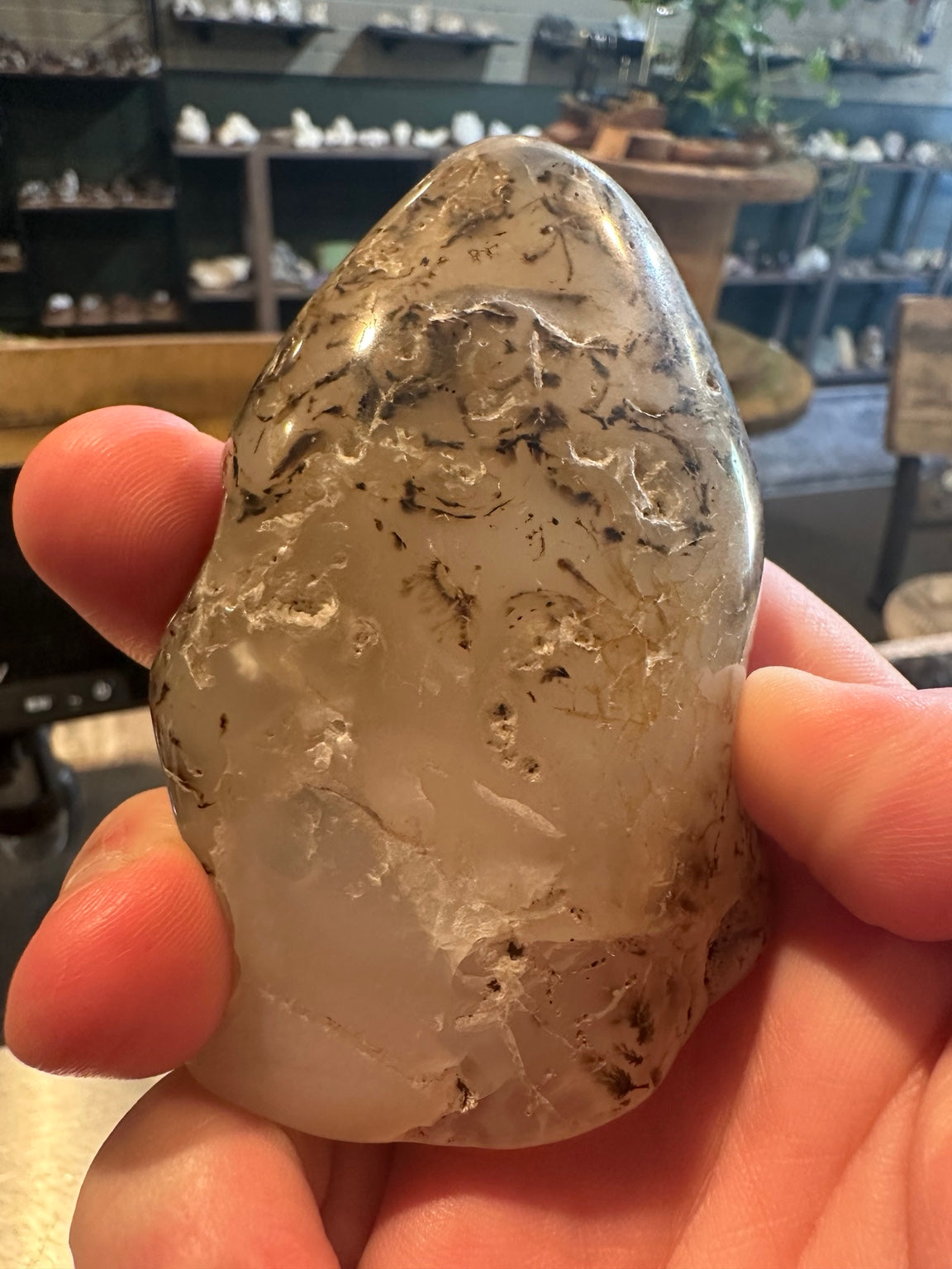 Exact Western U.S. dendritic agate freeform, 6.8 oz — view 4