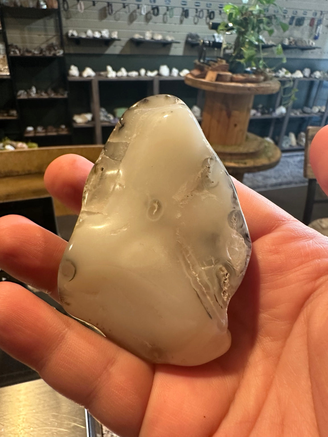 Exact Western U.S. dendritic agate freeform, 6.8 oz — view 5