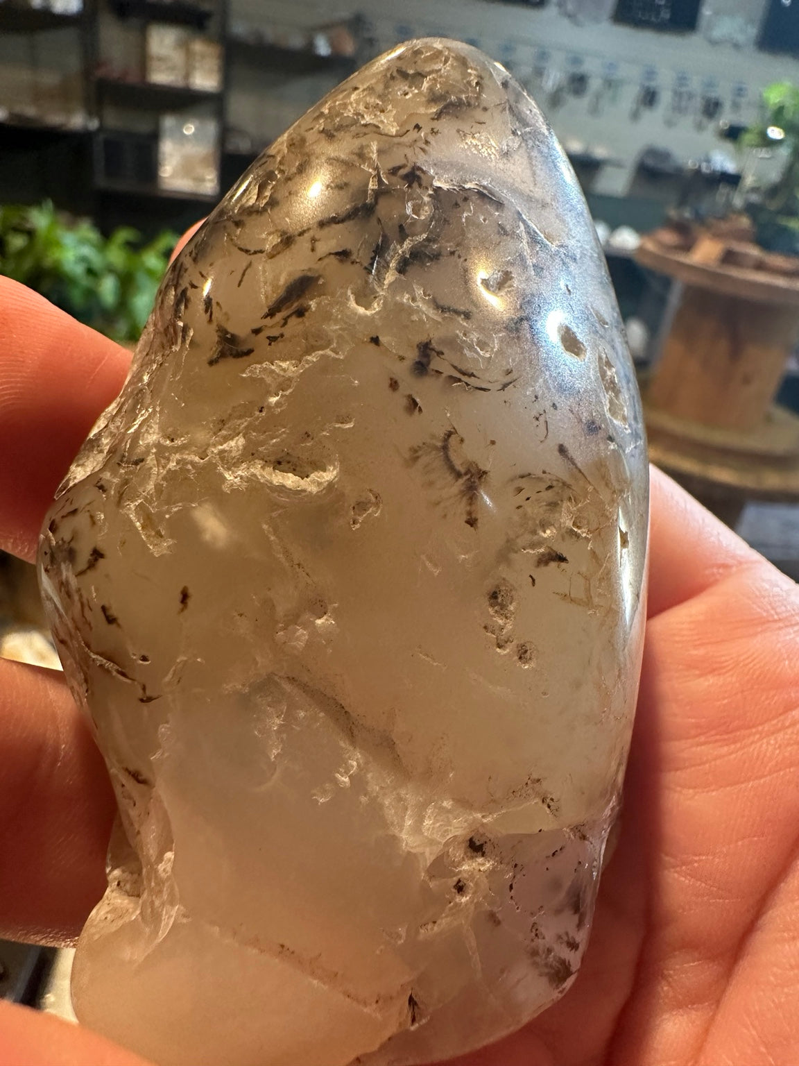 Exact Western U.S. dendritic agate freeform, 6.8 oz — view 6